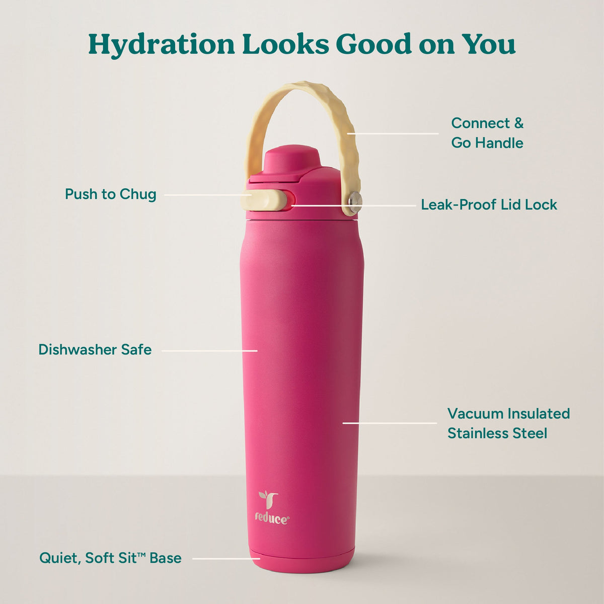 aura-26-oz-c0 Aura_26oz_DragonFruit_PDP_Infographic_2-03.jpg