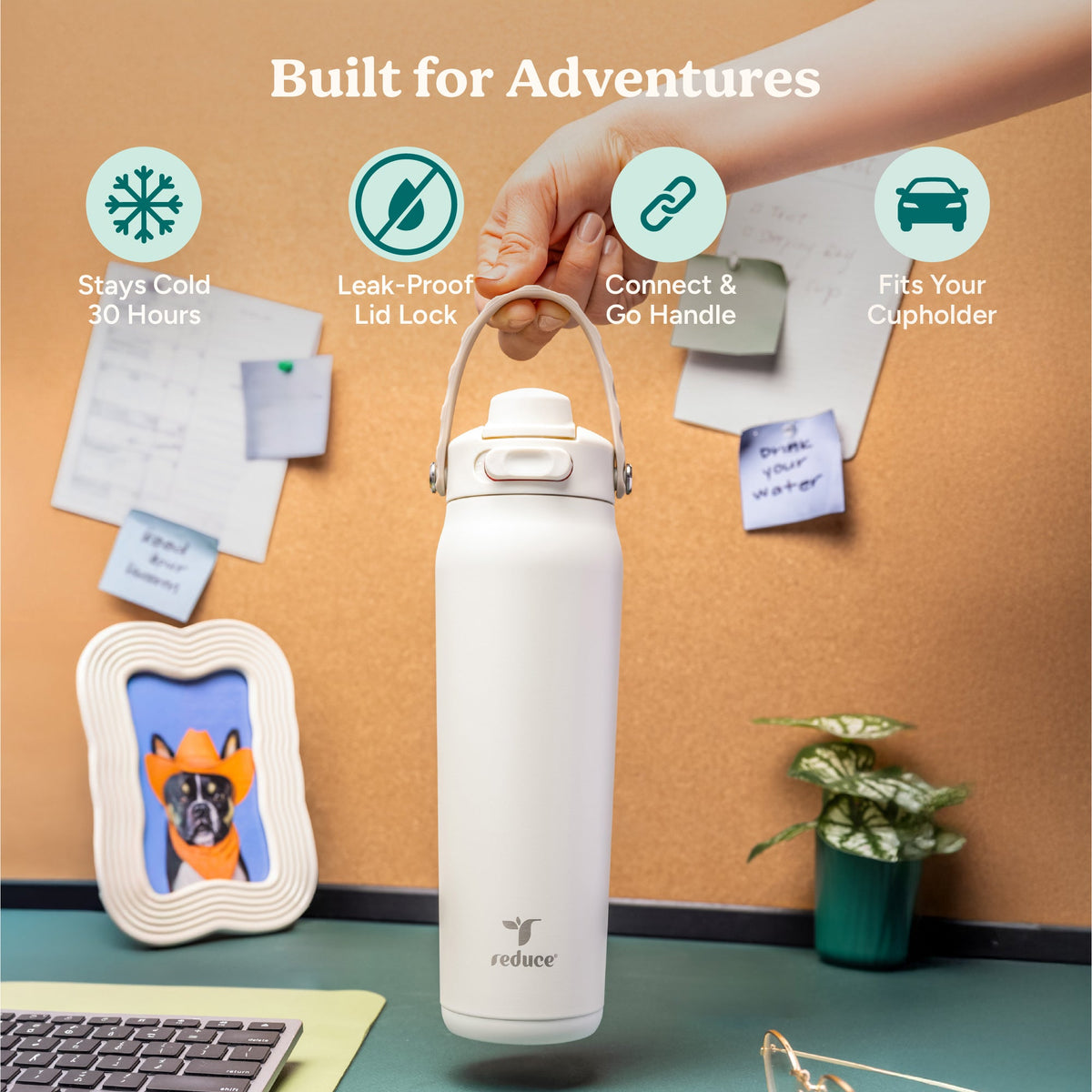 aura-26-oz-c0 Aura_26oz_Unbleached_PDP_Infographic_1.jpg