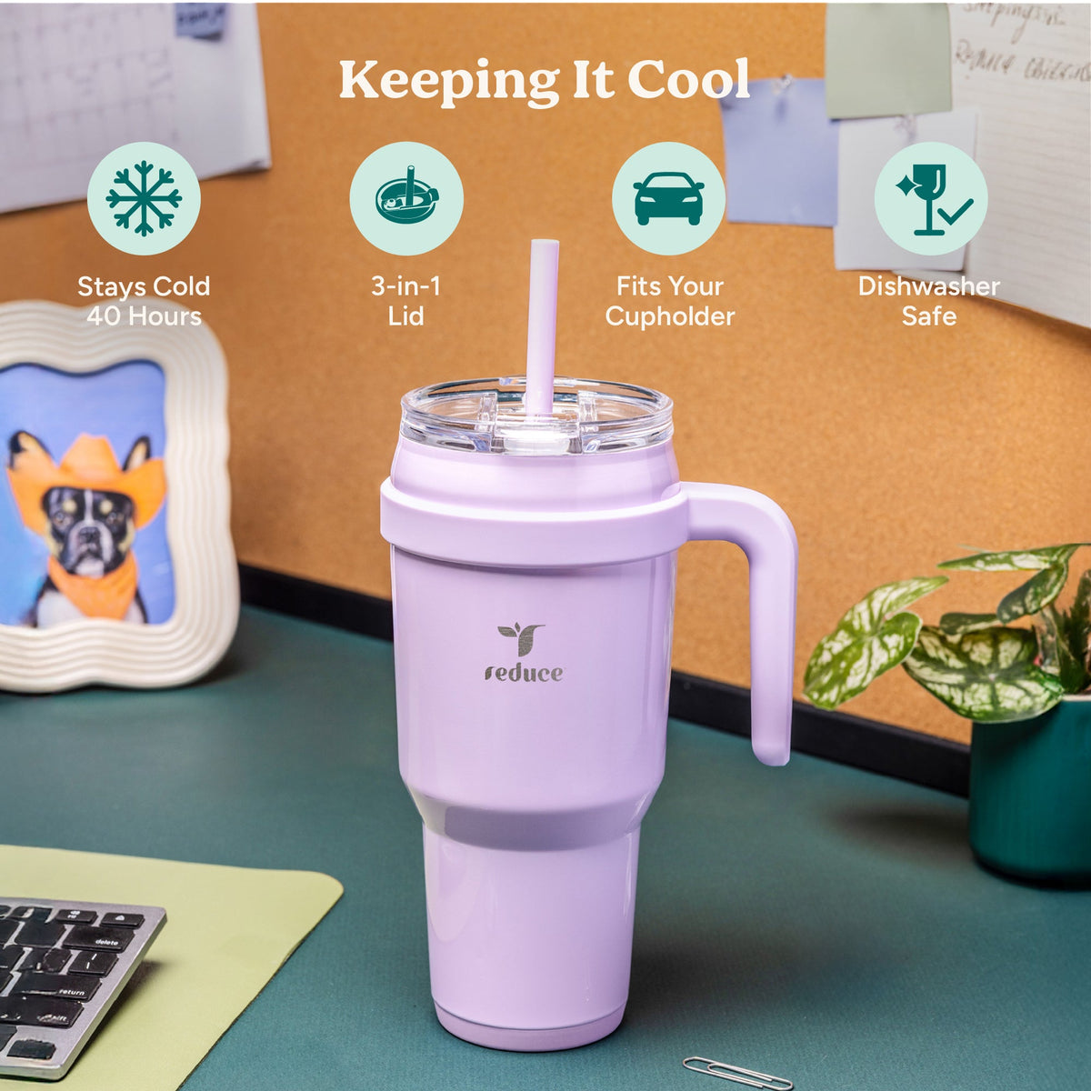 cold1-40-oz-h3 Cold1_40oz_PalmLeaf_Infographic_1.jpg