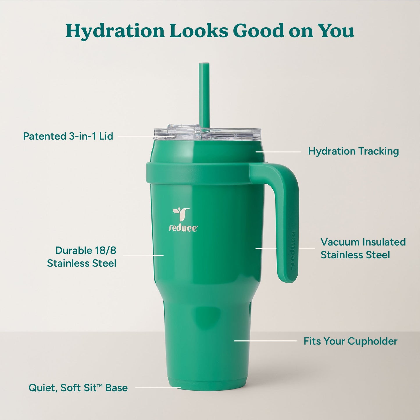cold1-40-oz-h3 Cold1_40oz_PalmLeaf_Infographic_2.jpg