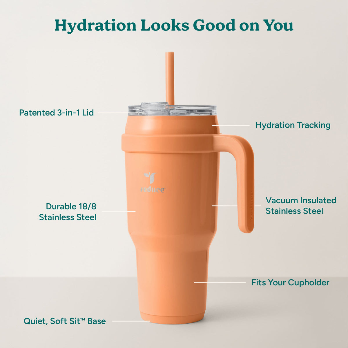 cold1-40-oz-h3 Cold1_40oz_Papaya_Infographic_2.jpg