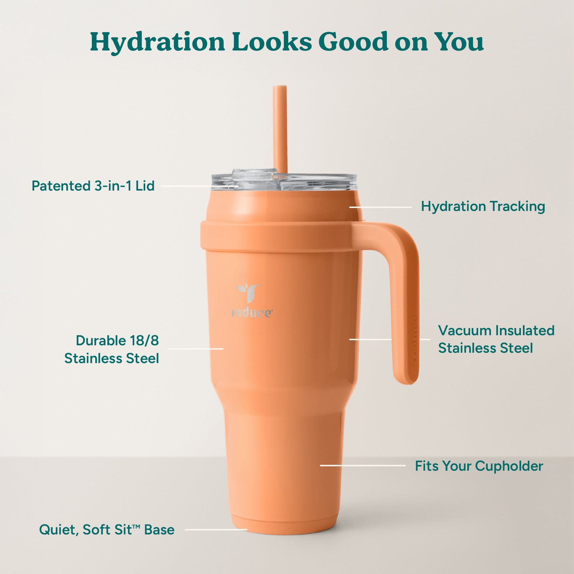 cold1-40-oz-h3 Cold1_40oz_Papaya_Infographic_2.jpg